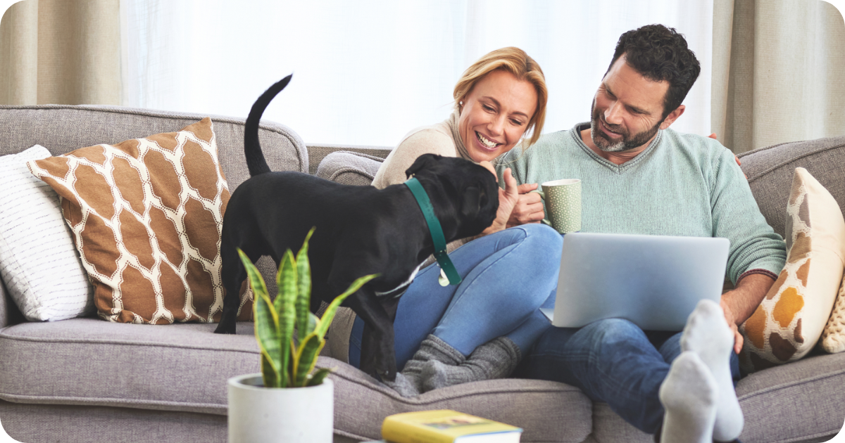 Man and woman using a computer on couch, with black dog jumping on them.